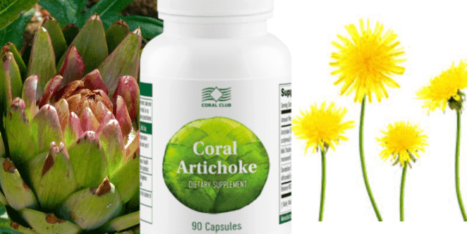 Coral Artichoke - miniatura 4