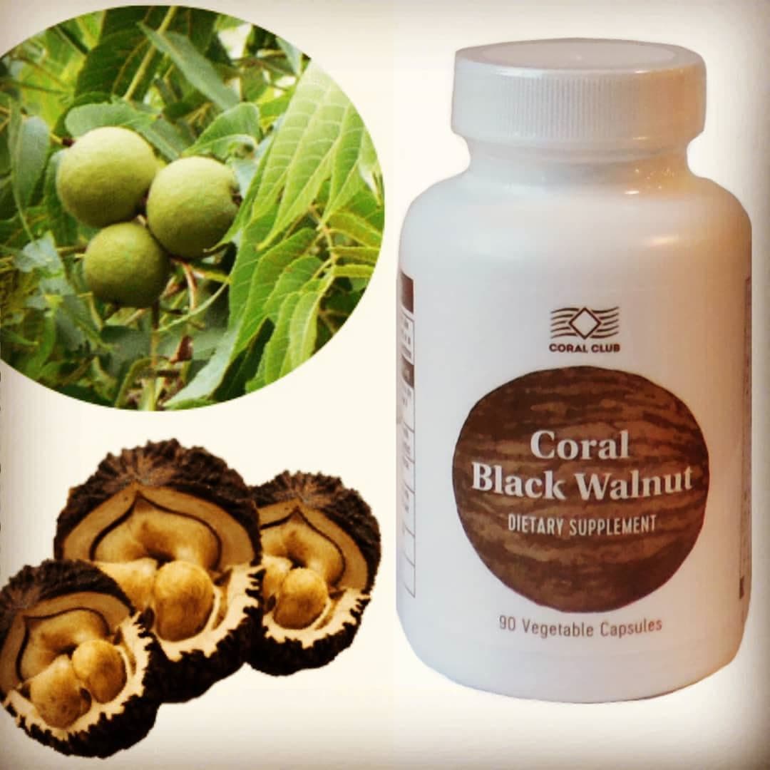 Coral Black Walnut - miniatura 3