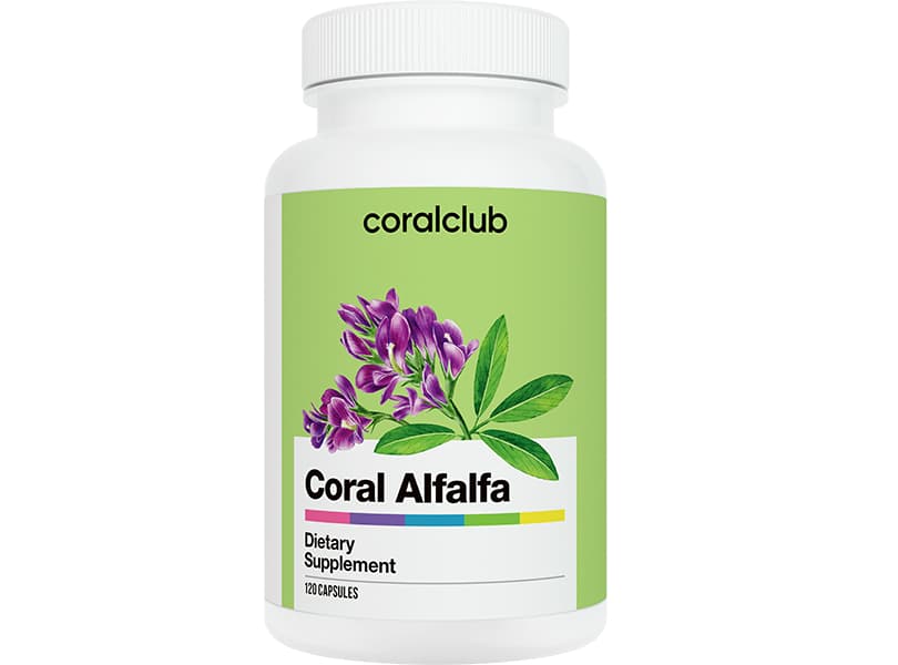 Coral Alfalfa