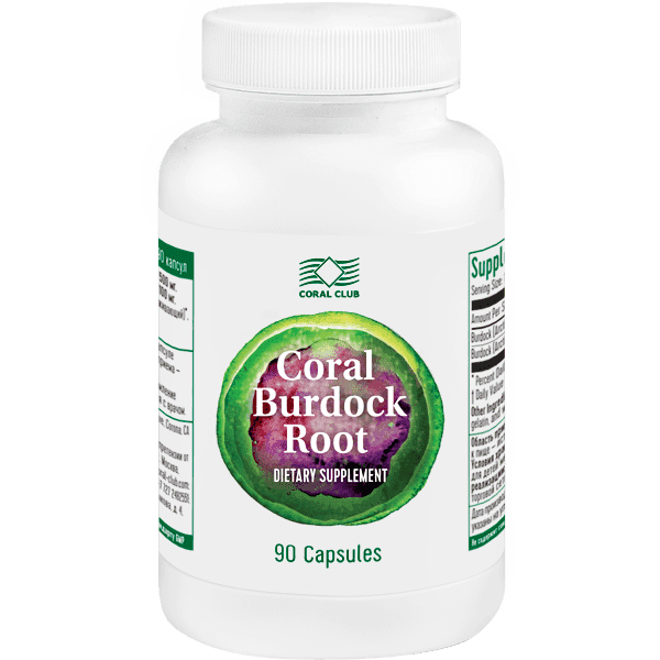 Coral Burdock Root
