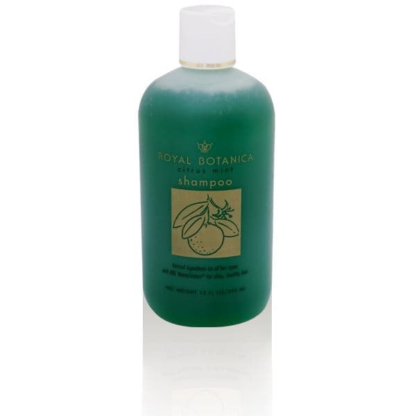 Citrus mint shampoo