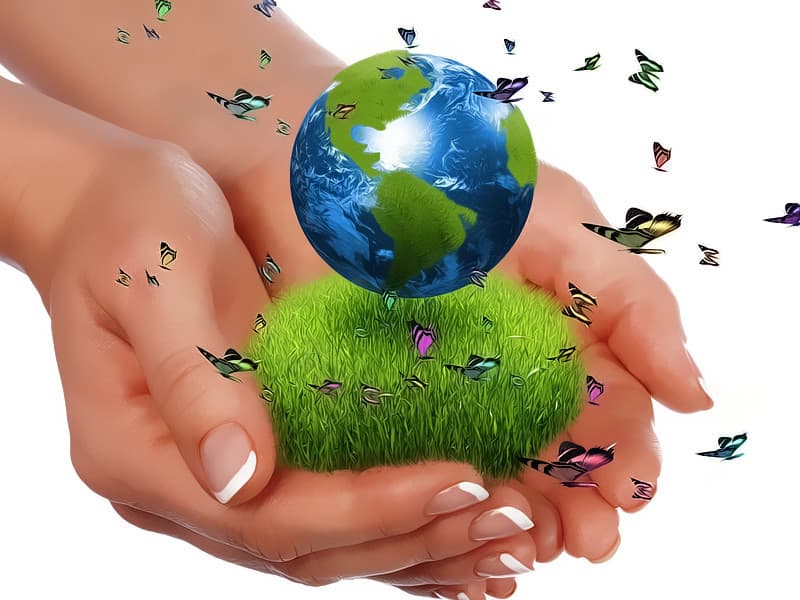 Ekologicznie i w duchu zero waste - jak sprzątać, aby nie niszczyć planety?