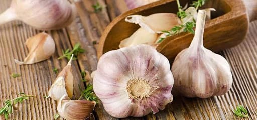 Naturalny antybiotyk - o prozdrowotnych właściwościach czosnku